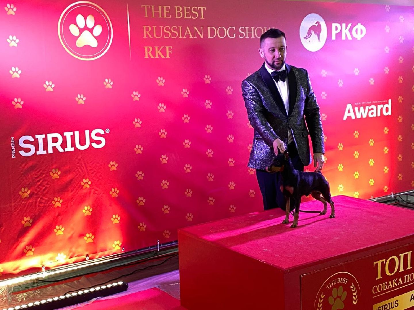 лучшиесобакироссии, выставкасобак, крокусэкспо,