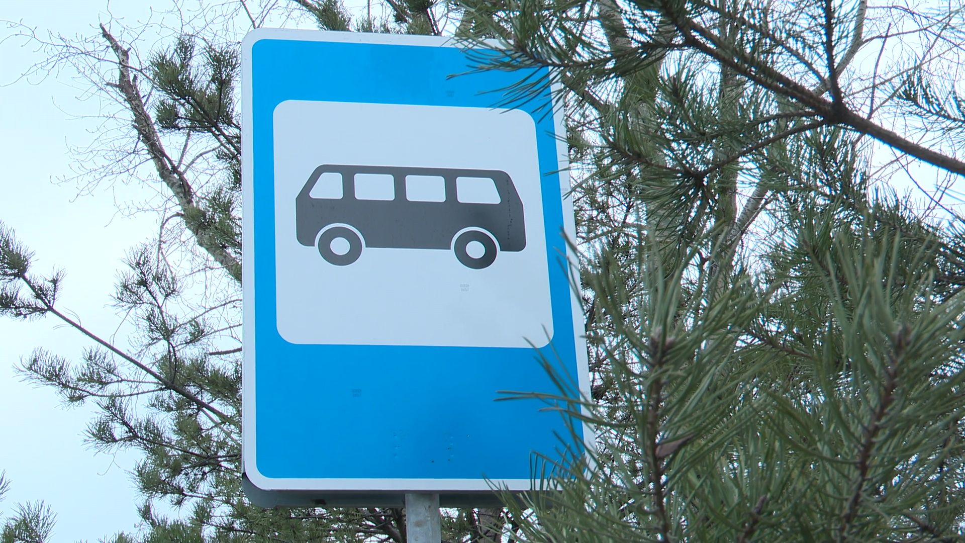 реутов, вертикалки, транспорт, новый маршрут, автобусы, остановка,