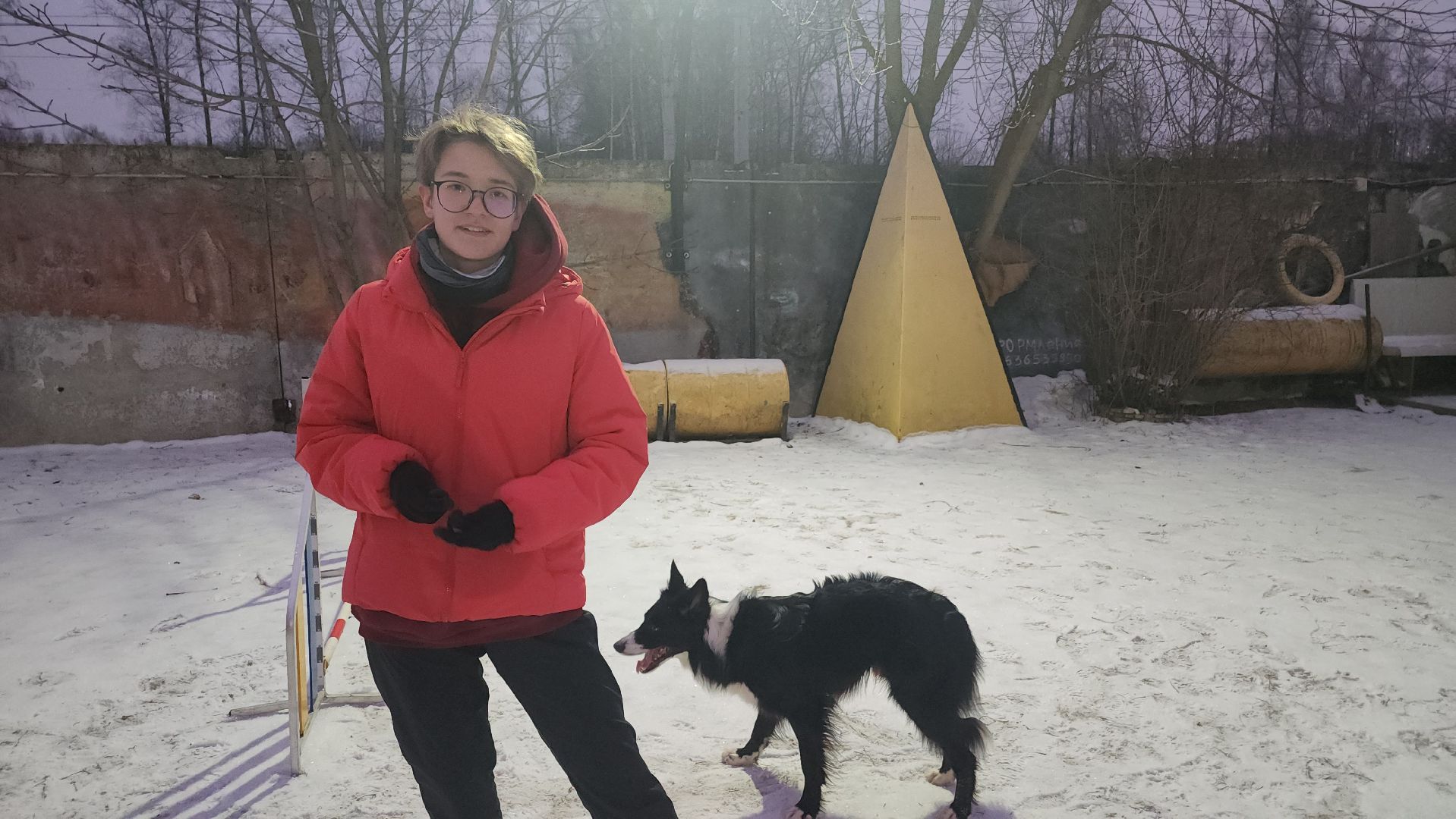 долгопрудный, x-легион, кинологи, аджилити, бордер-колли, вертикалки,