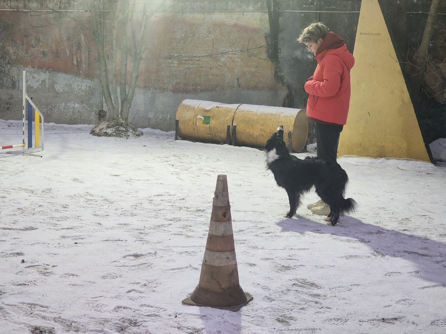 долгопрудный, x-легион, кинологи, аджилити, бордер-колли, вертикалки,