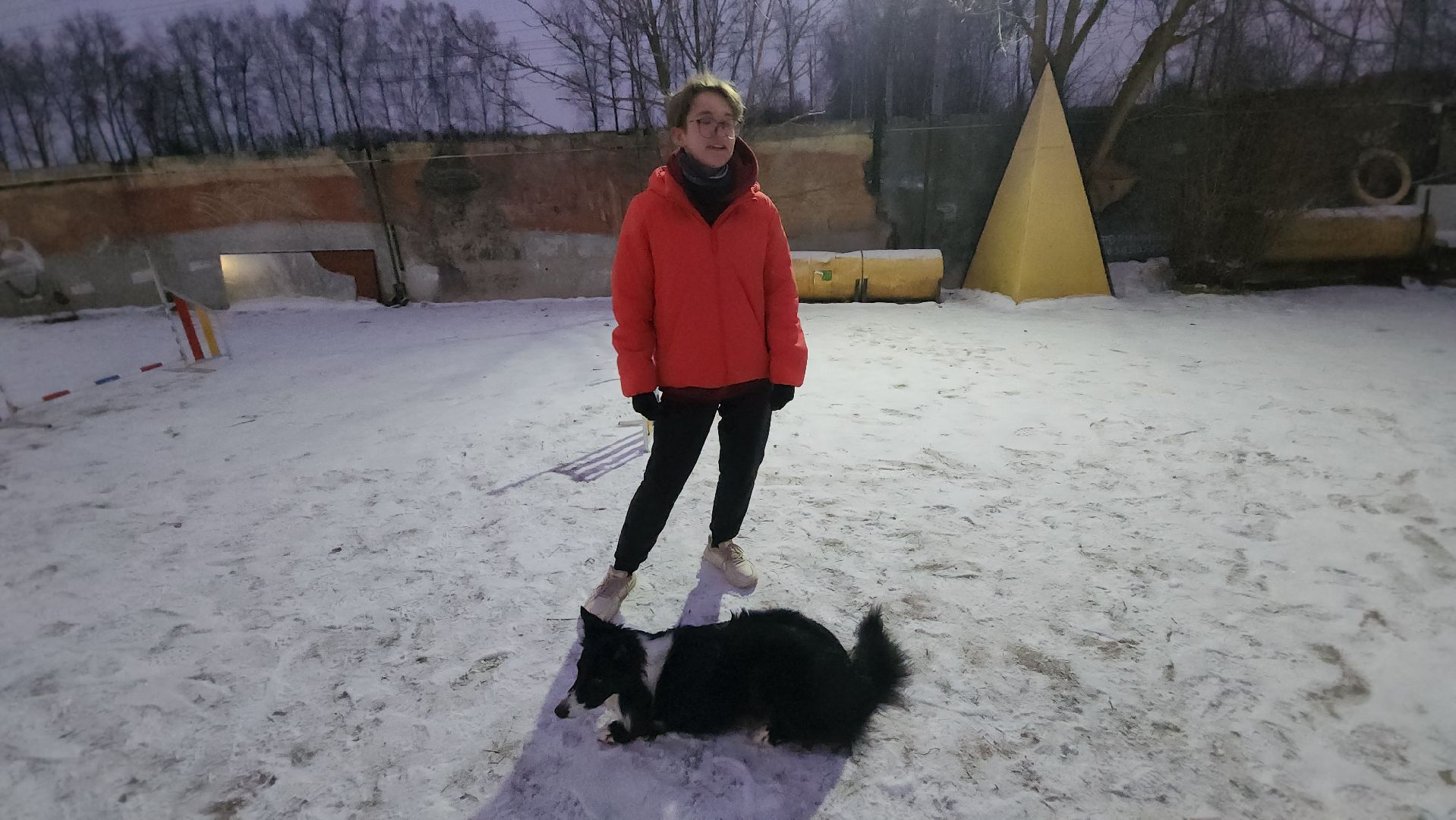 долгопрудный, x-легион, кинологи, аджилити, бордер-колли, вертикалки,