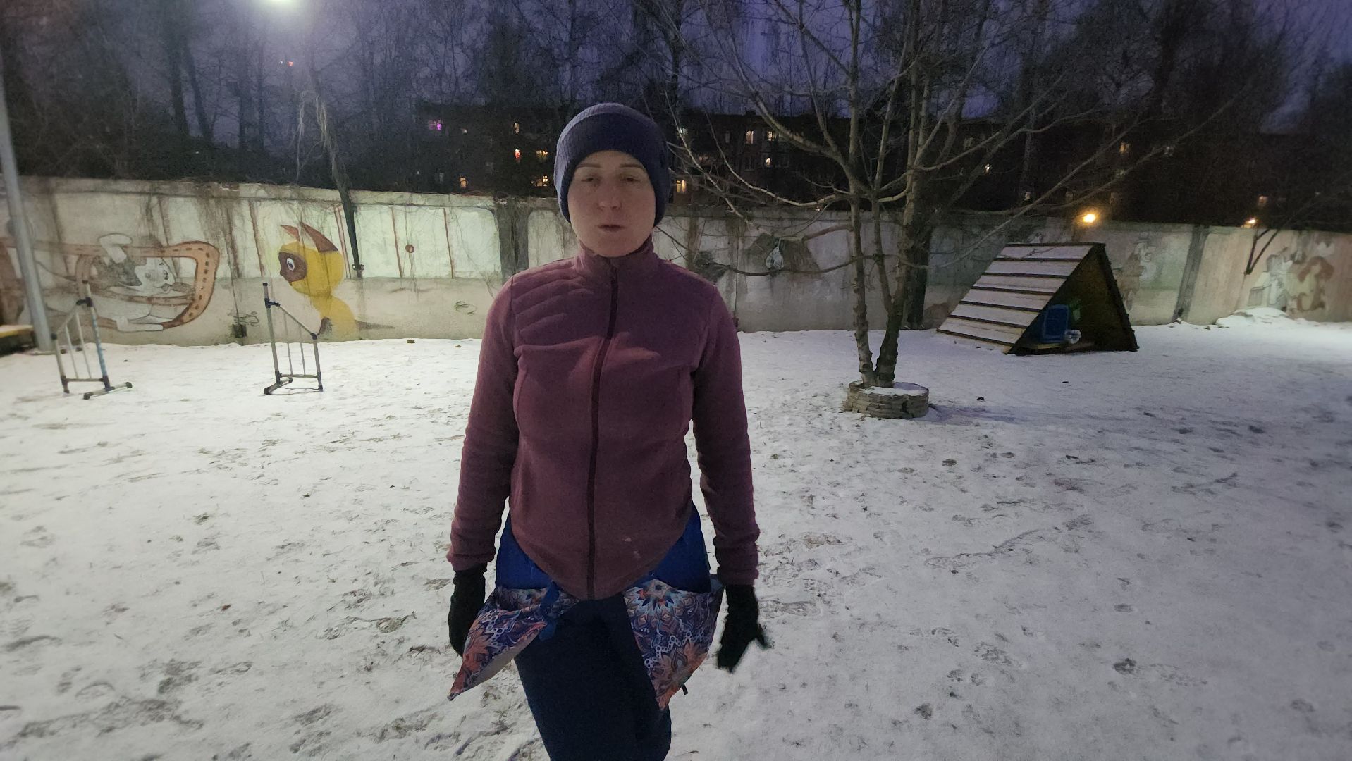 долгопрудный, x-легион, кинологи, аджилити, бордер-колли, вертикалки,