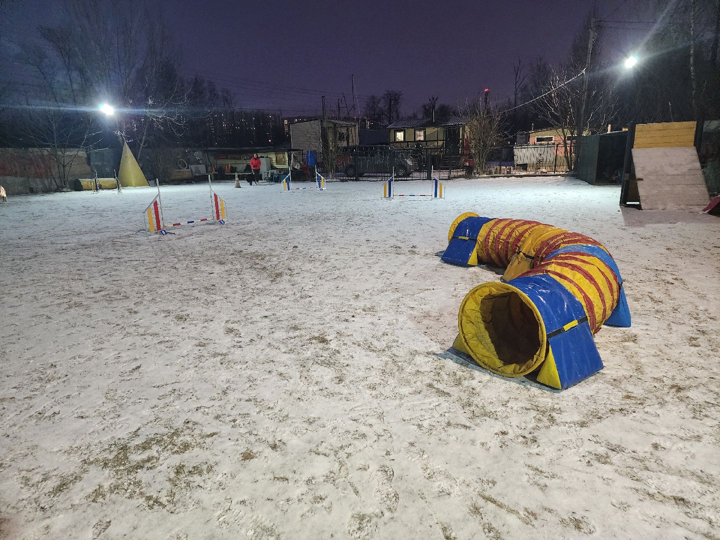 долгопрудный, x-легион, кинологи, аджилити, бордер-колли, вертикалки,