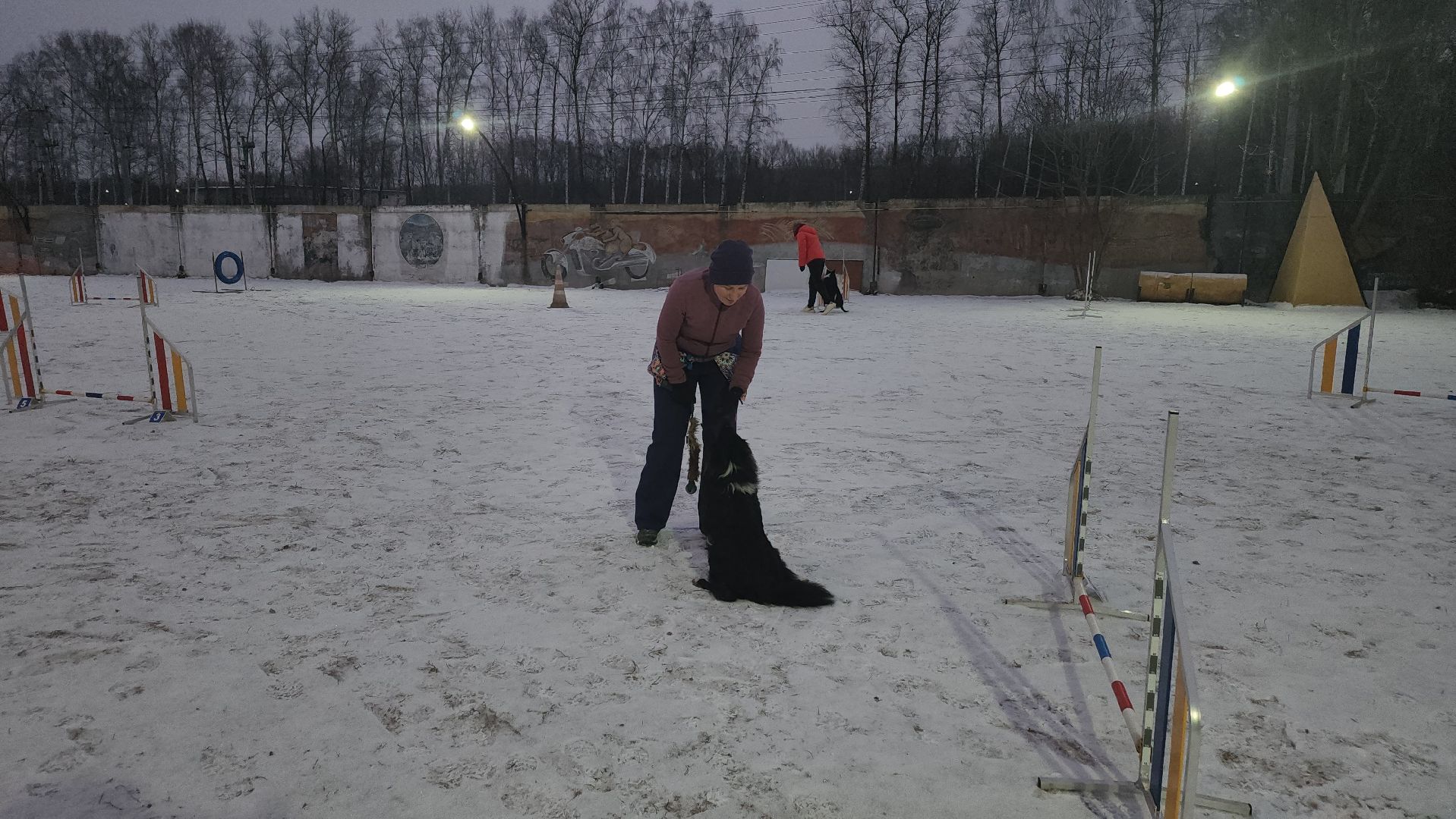 долгопрудный, x-легион, кинологи, аджилити, бордер-колли, вертикалки,