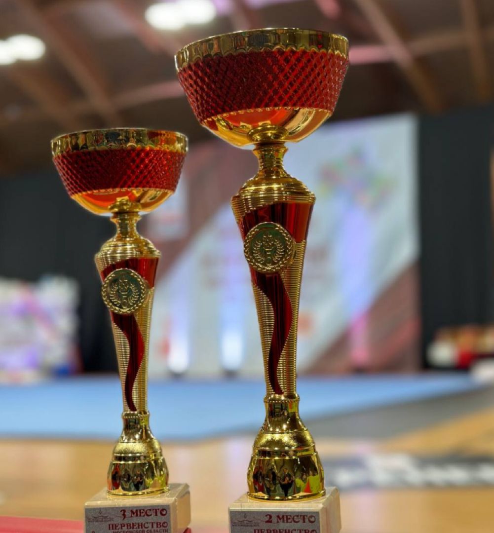 вертикалки, Спорт, Образование, чирлидинг,