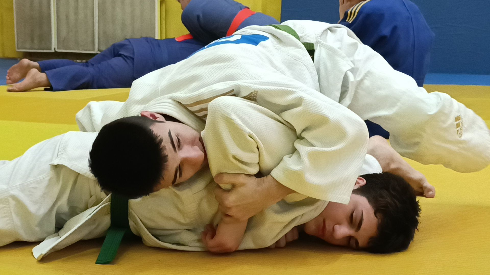 спорт, дзюдо, лобня, вертикалки,