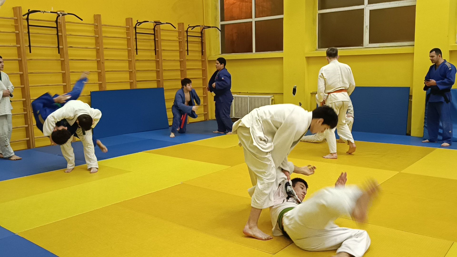 спорт, дзюдо, лобня, вертикалки,