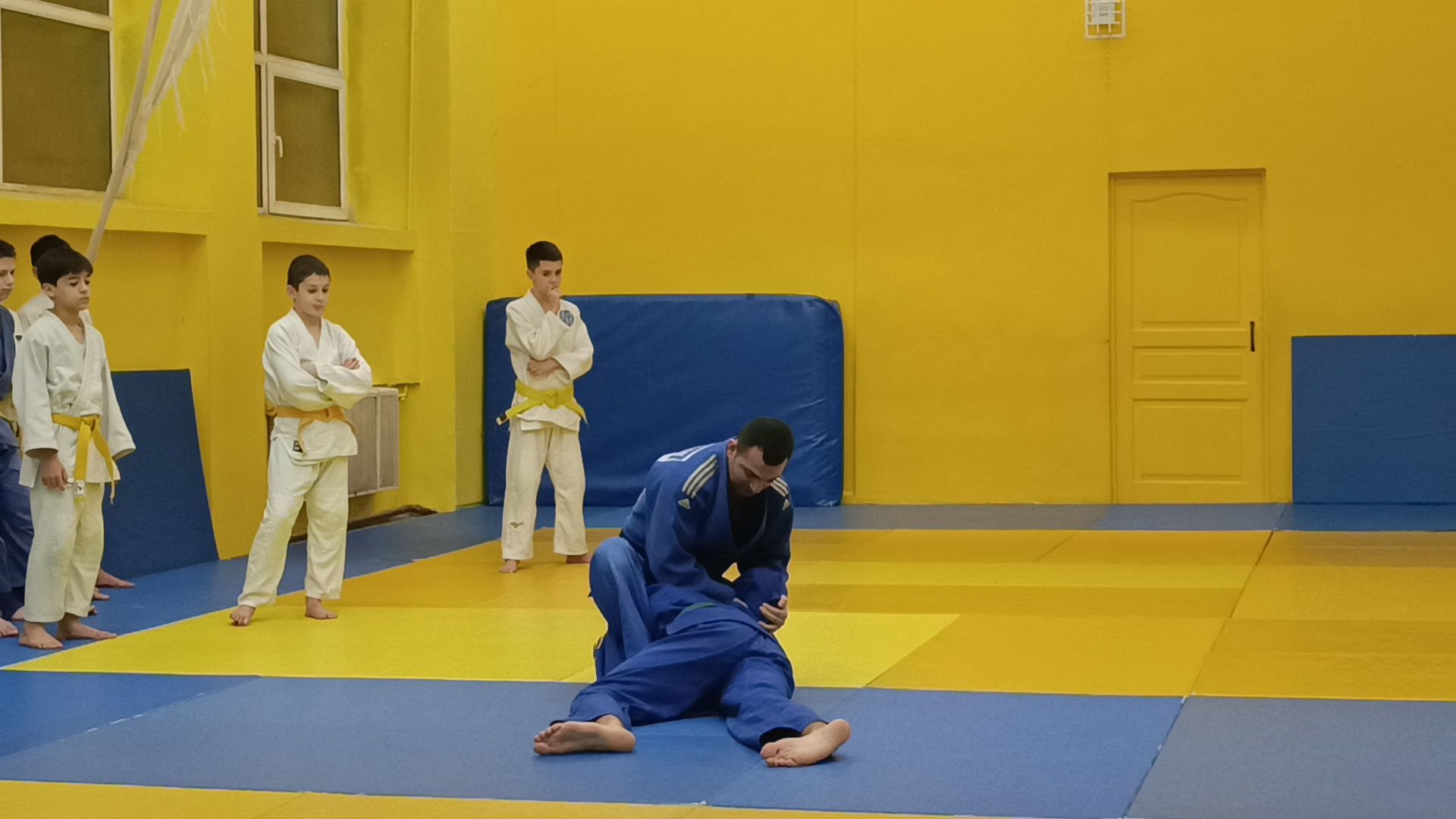 спорт, дзюдо, лобня, вертикалки,