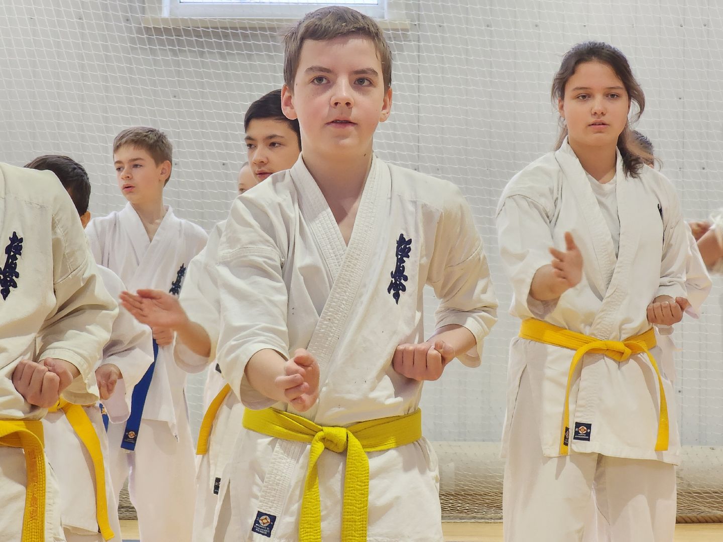 вертикалки, Луховицы, Открытое татами, спорт в луховицах,