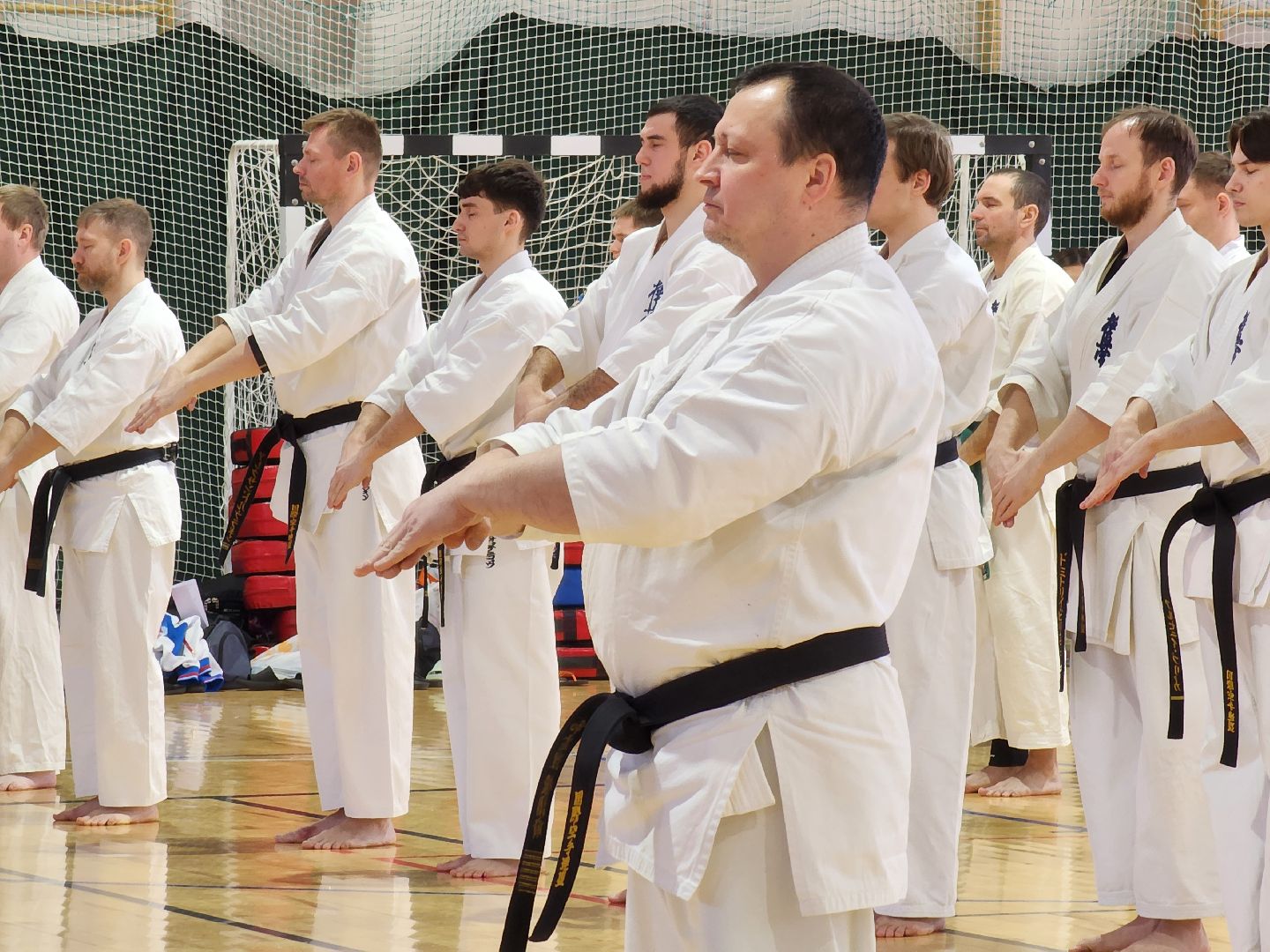 вертикалки, Луховицы, Открытое татами, спорт в луховицах,