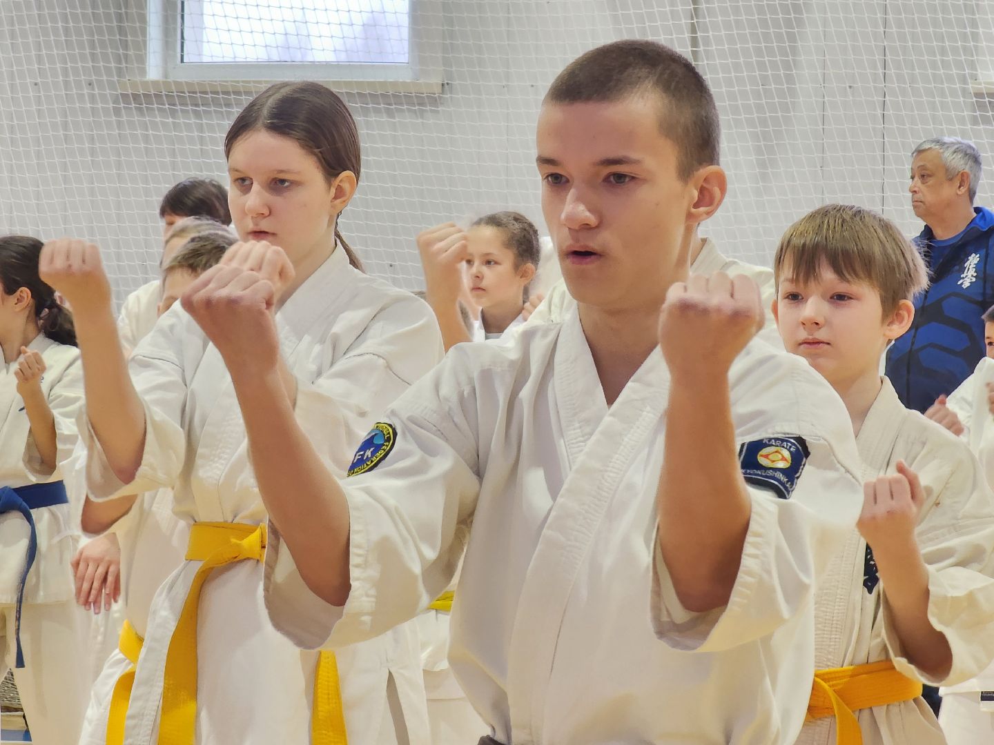 вертикалки, Луховицы, Открытое татами, спорт в луховицах,