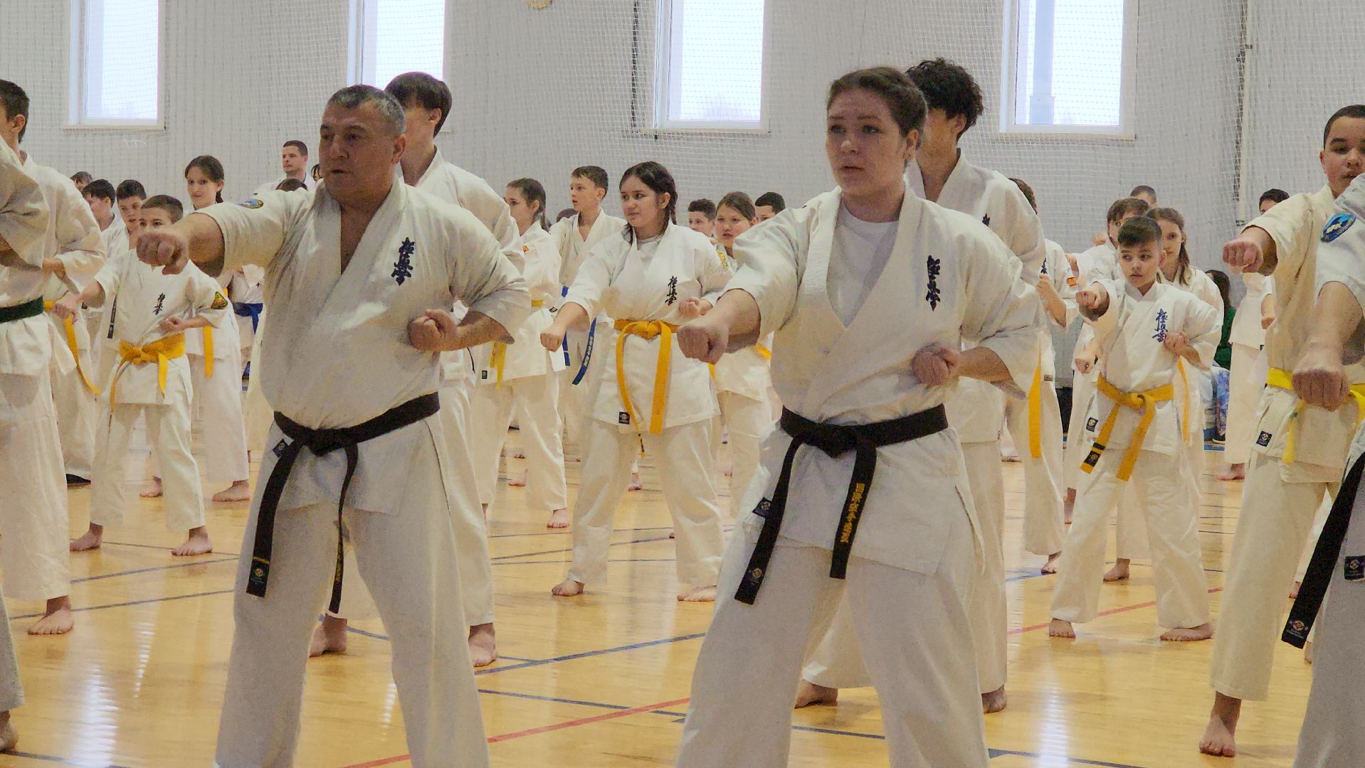 вертикалки, Луховицы, Открытое татами, спорт в луховицах,