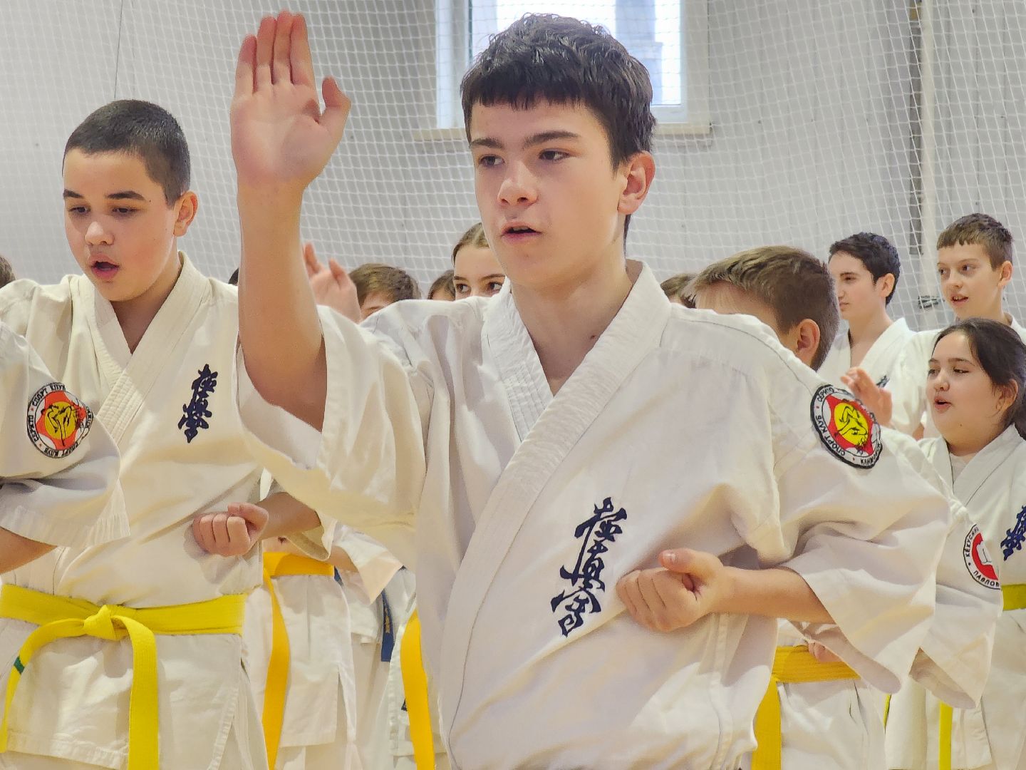 вертикалки, Луховицы, Открытое татами, спорт в луховицах,