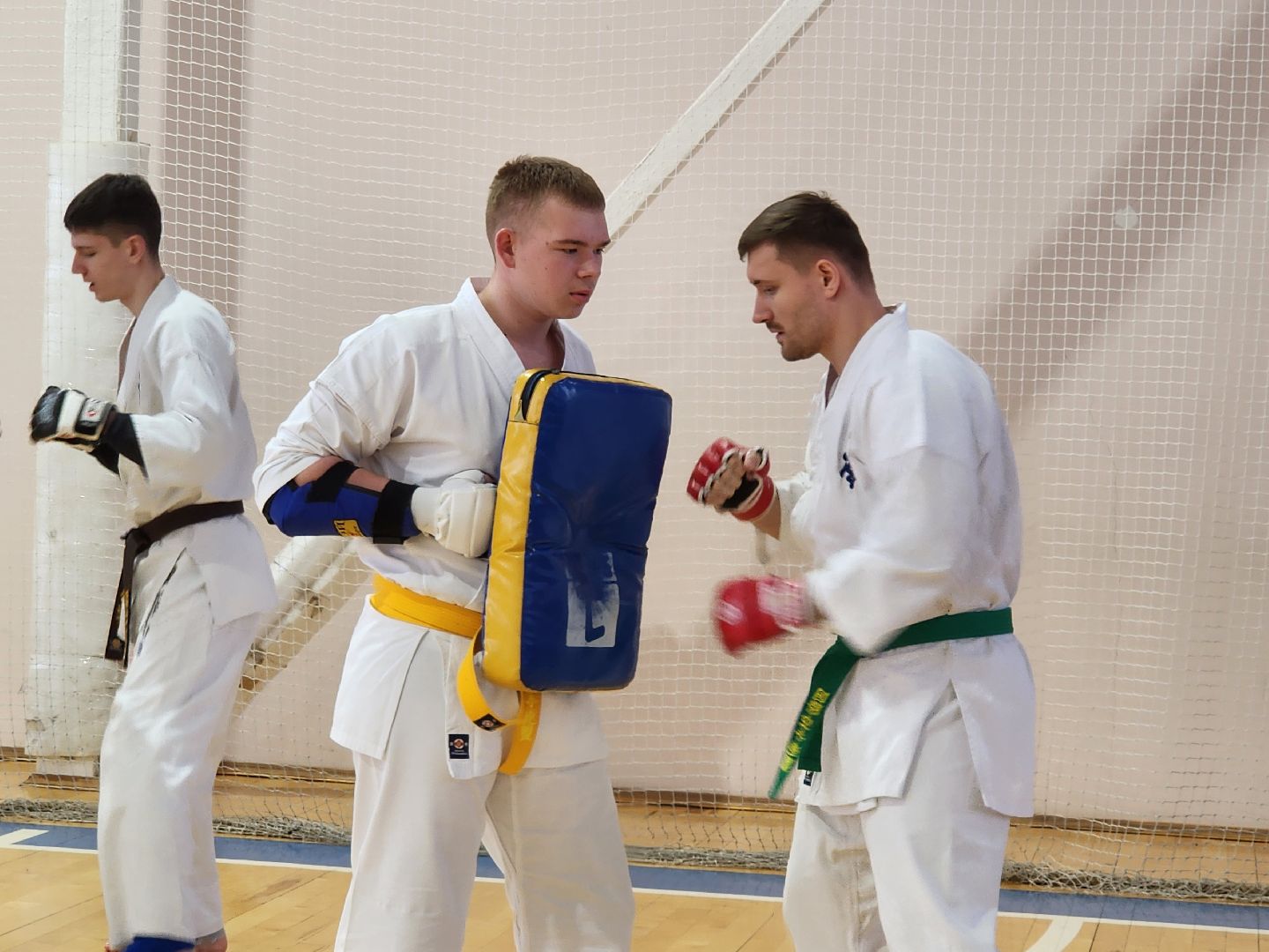 вертикалки, Луховицы, Открытое татами, спорт в луховицах,