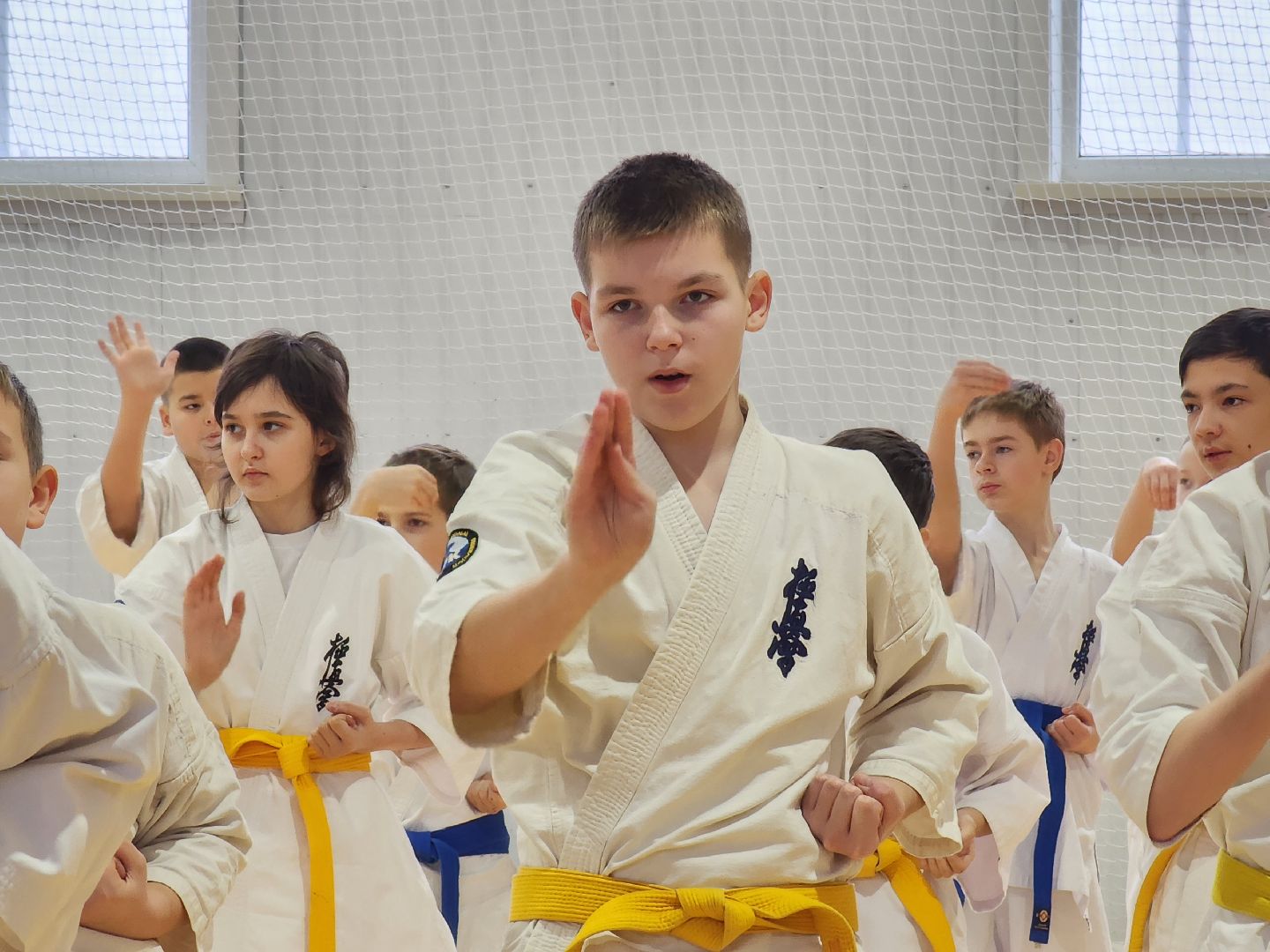 вертикалки, Луховицы, Открытое татами, спорт в луховицах,