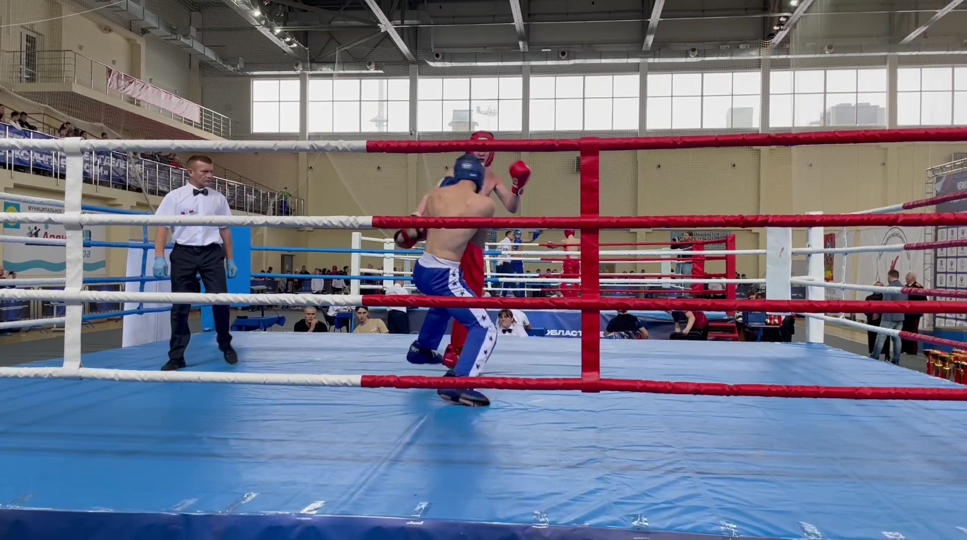 реутов, вертикалки, спорт, кикбоксинг, чемпионат, соревнования, победа,