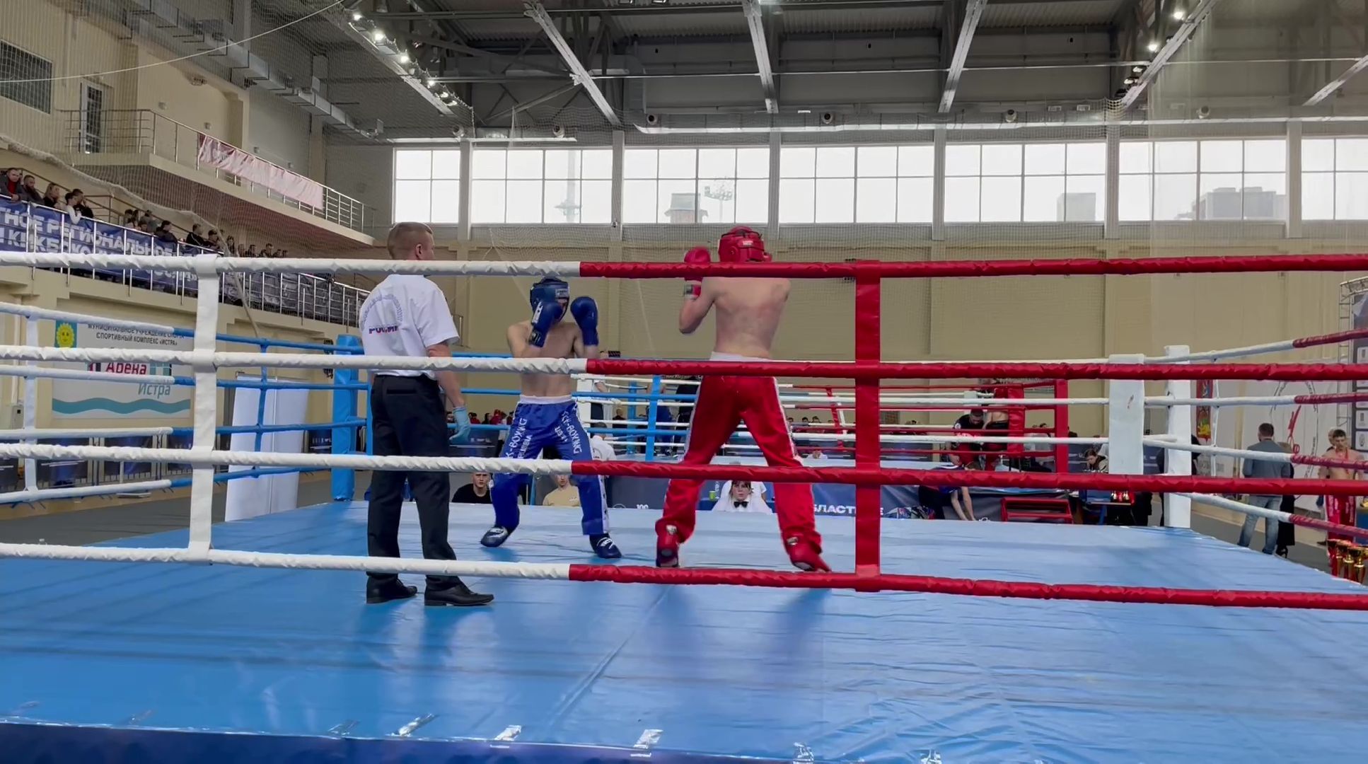 реутов, вертикалки, спорт, кикбоксинг, чемпионат, соревнования, победа,