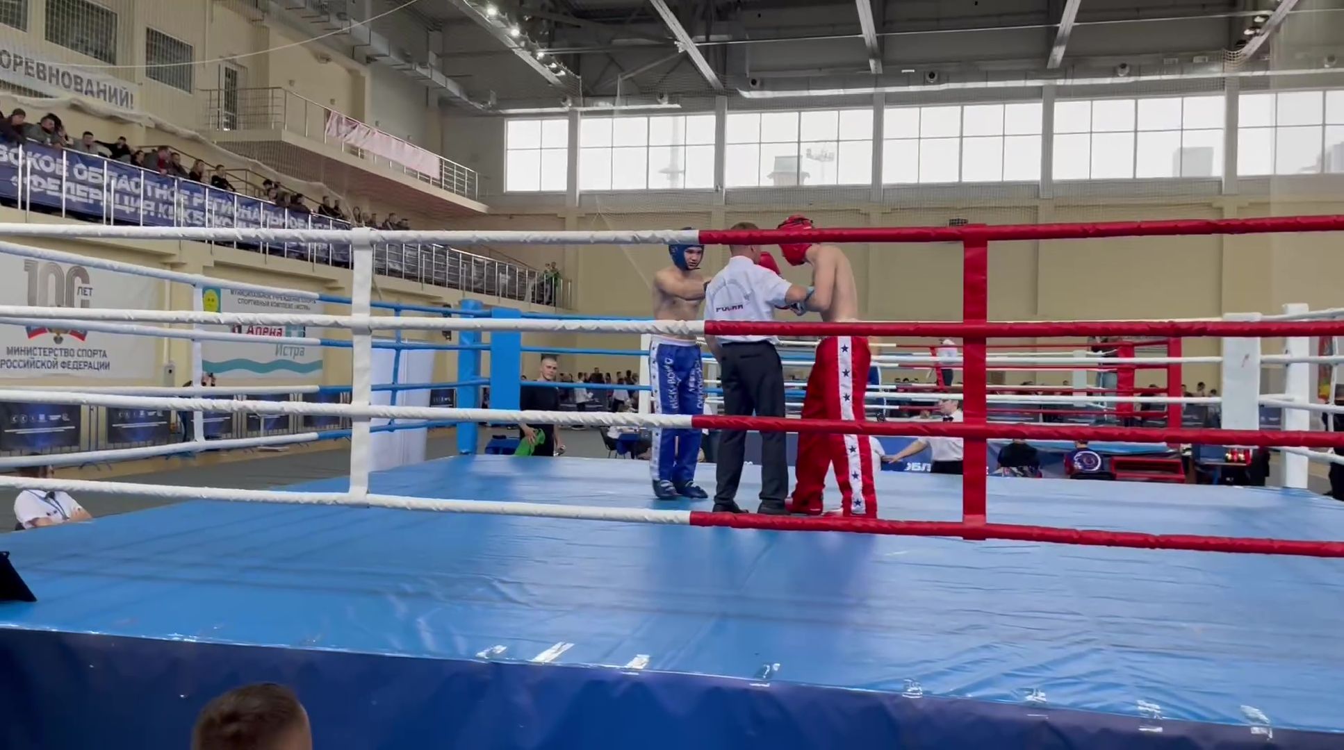 реутов, вертикалки, спорт, кикбоксинг, чемпионат, соревнования, победа,