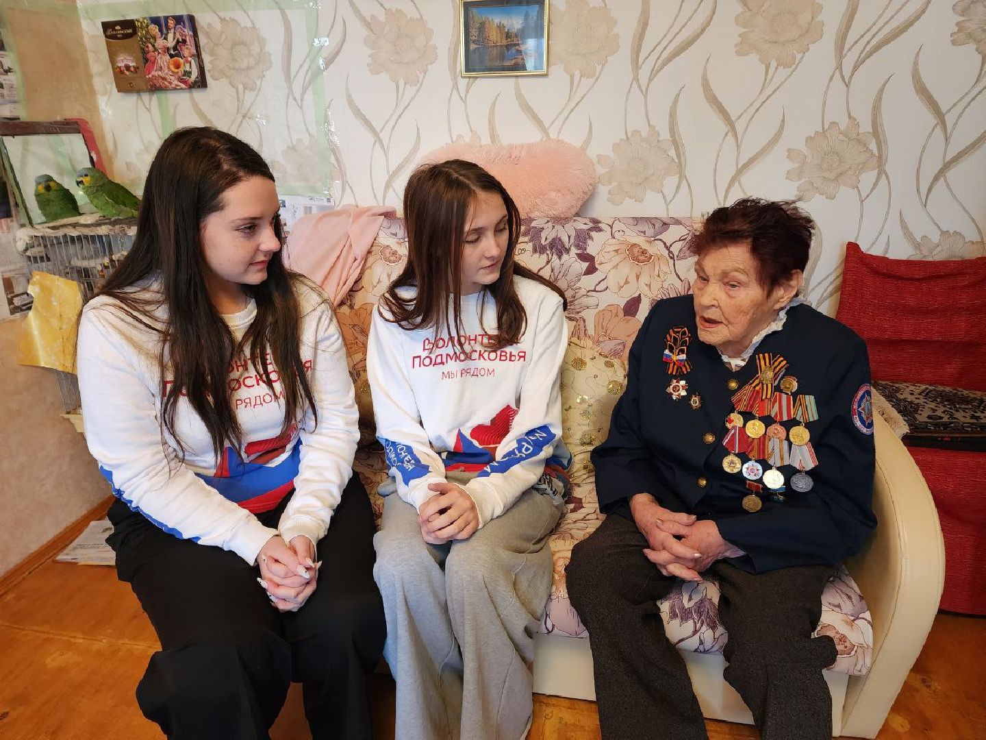 солнечногорск, ветеран вов, волонтеры, почетный гражданин, вертикалки,