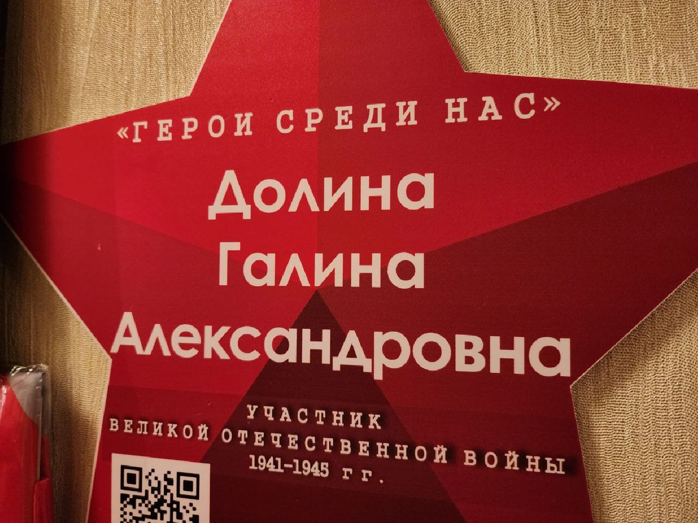 солнечногорск, ветеран вов, волонтеры, почетный гражданин, вертикалки,