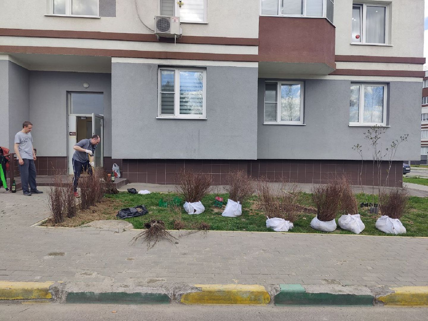 Нахабино, Субботник, ЖК Малина, уборка, деревья