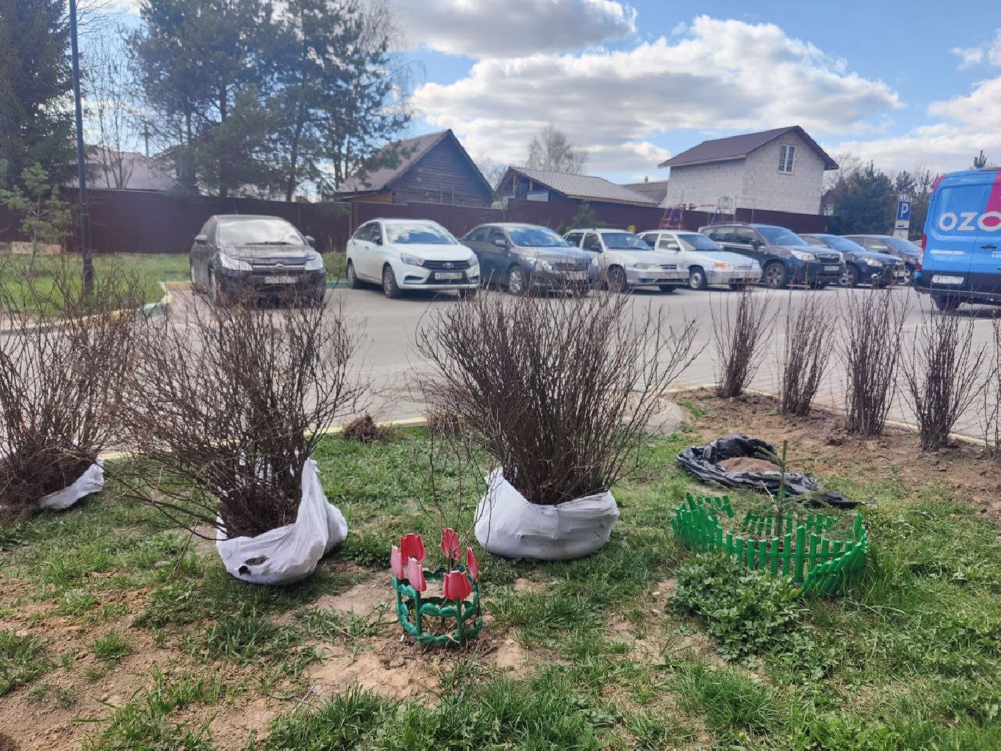 Нахабино, Субботник, ЖК Малина, уборка, деревья