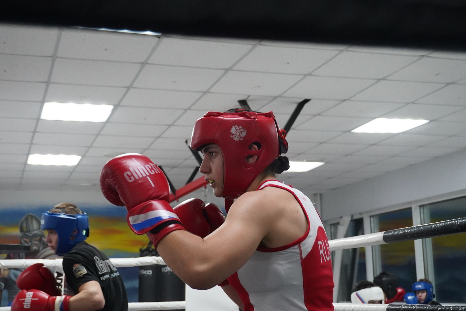 Спорт, вертикалки, Образование, Павловский Посад,