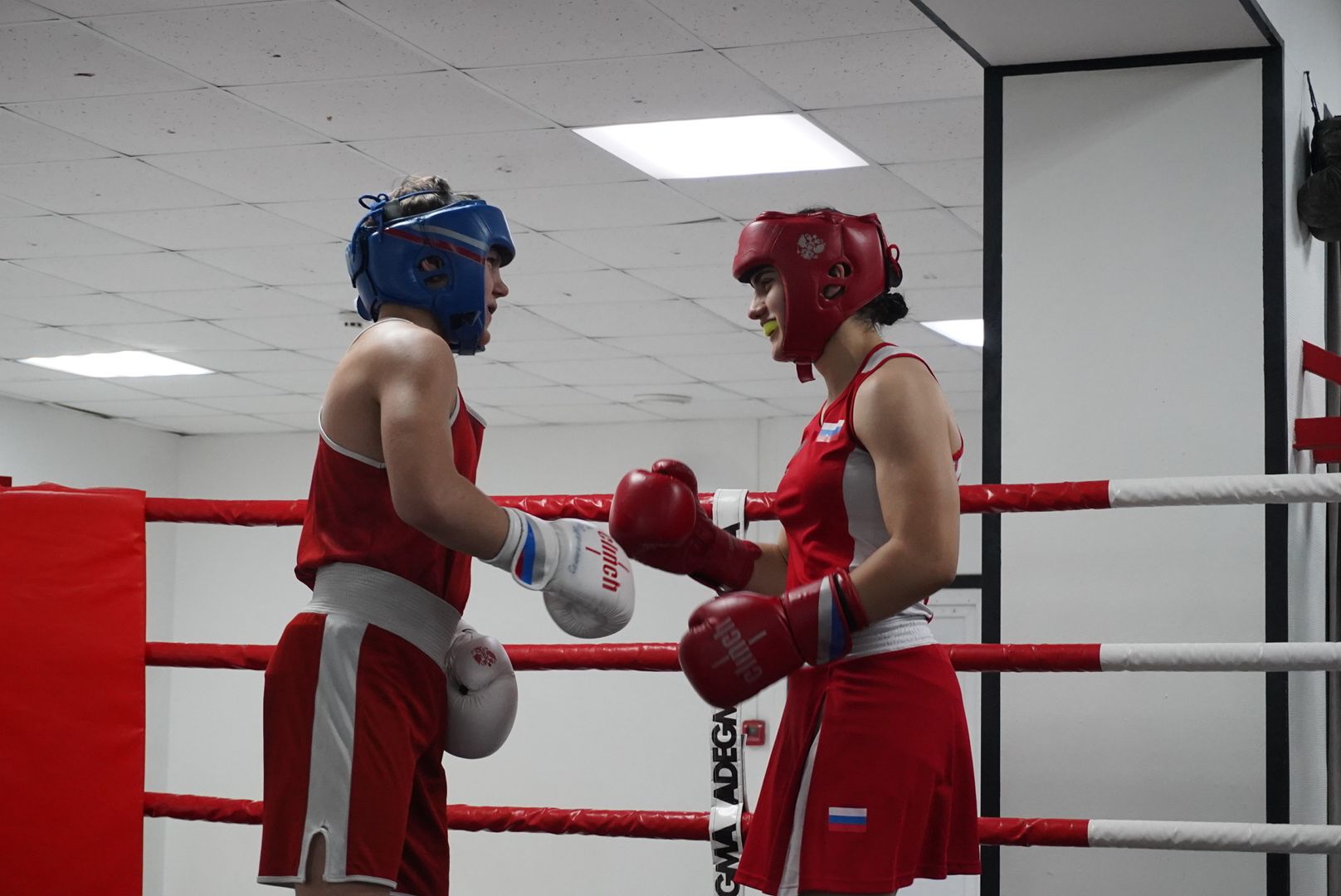 Спорт, вертикалки, Образование, Павловский Посад,