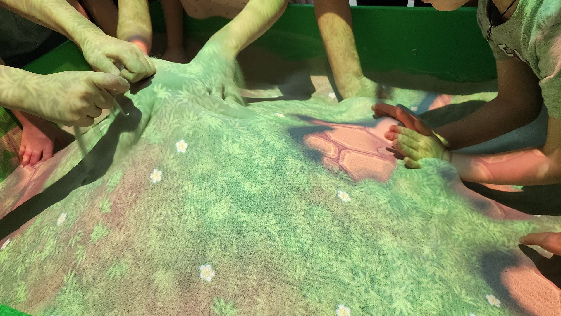 соципотека, меры поддержки, образование, Ногинск, Богородский городской округ,