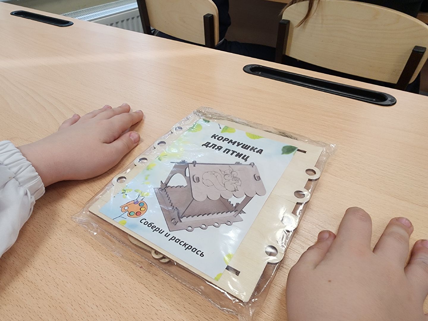 вертикалки, луховицы, Акция покорми птиц, гимназия 10,