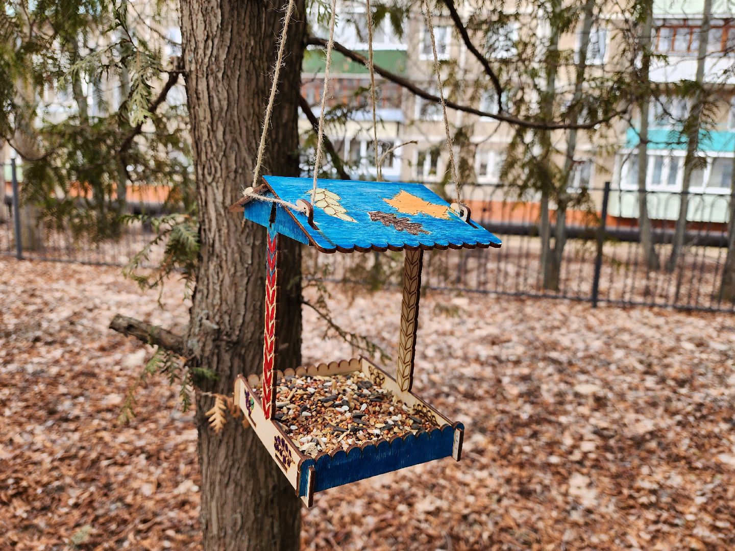 вертикалки, луховицы, Акция покорми птиц, гимназия 10,