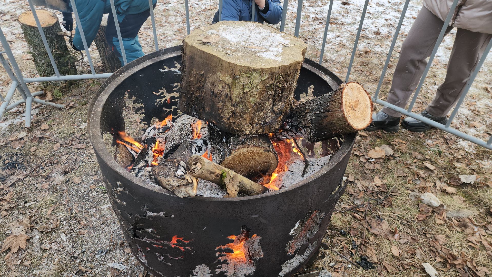 серпухов, подмосковье, фестиваль тепло, зима в подмосковье,