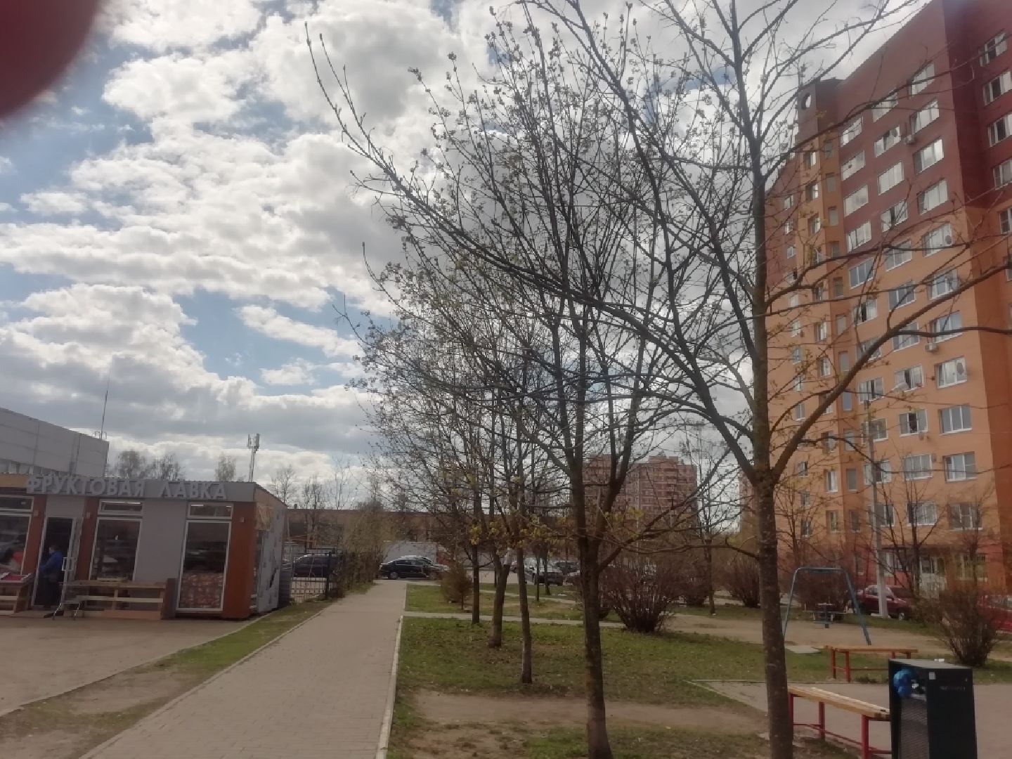 Звенигород, благоустройство, сквер, субботник, придомовые территории