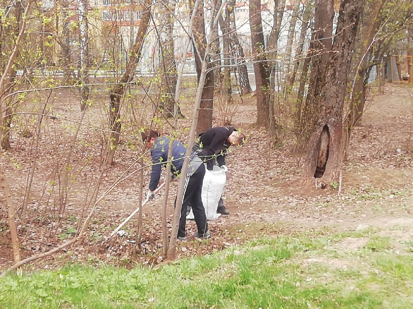 Звенигород, благоустройство, сквер, субботник, придомовые территории