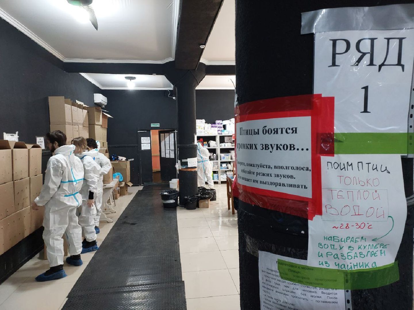 волонтры, птицы, Анапа, Лосино-Петровский, экология,