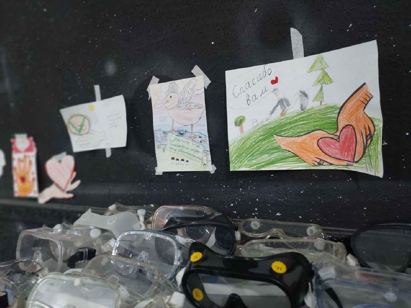 волонтры, птицы, Анапа, Лосино-Петровский, экология,