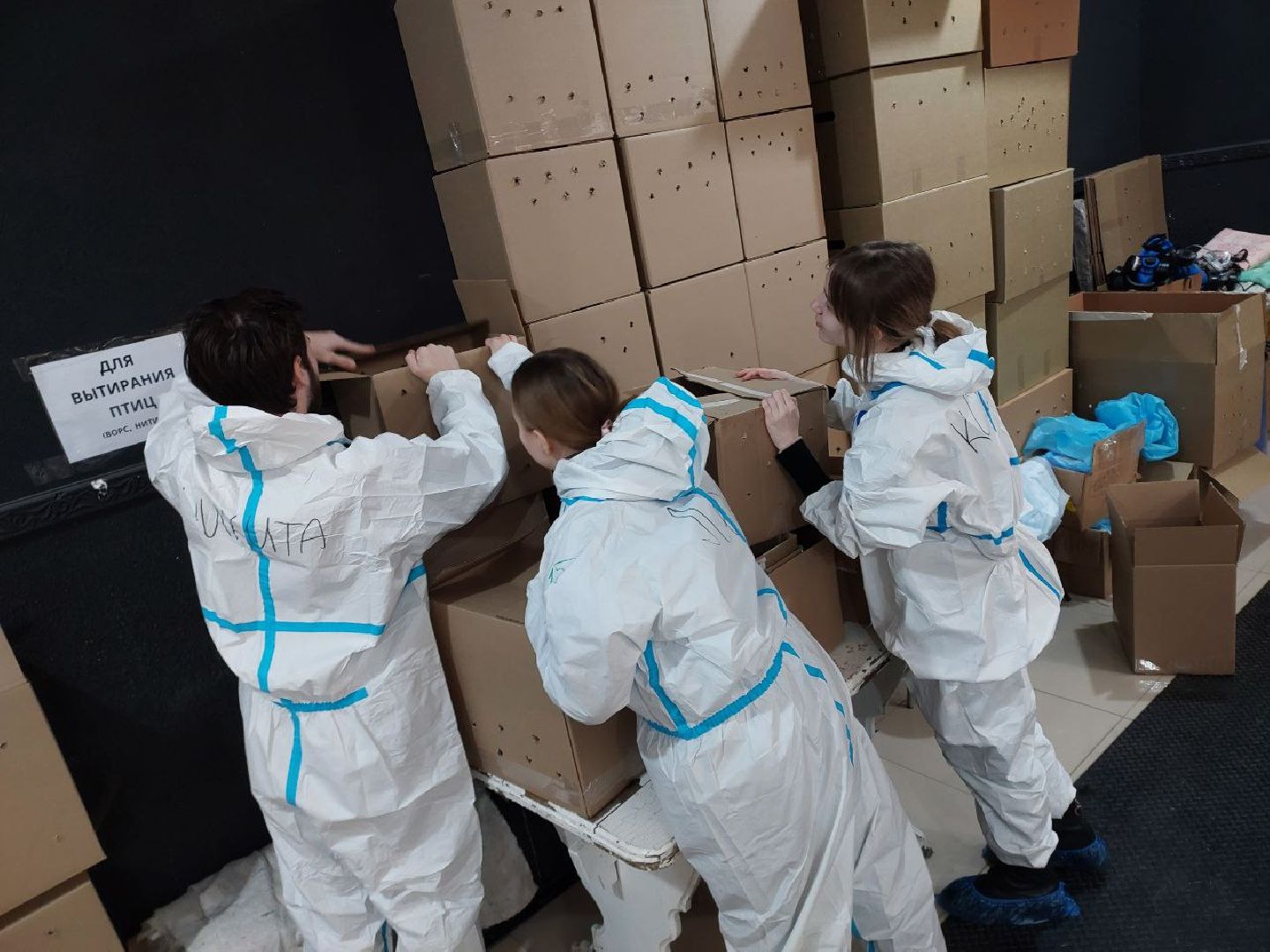 волонтры, птицы, Анапа, Лосино-Петровский, экология,