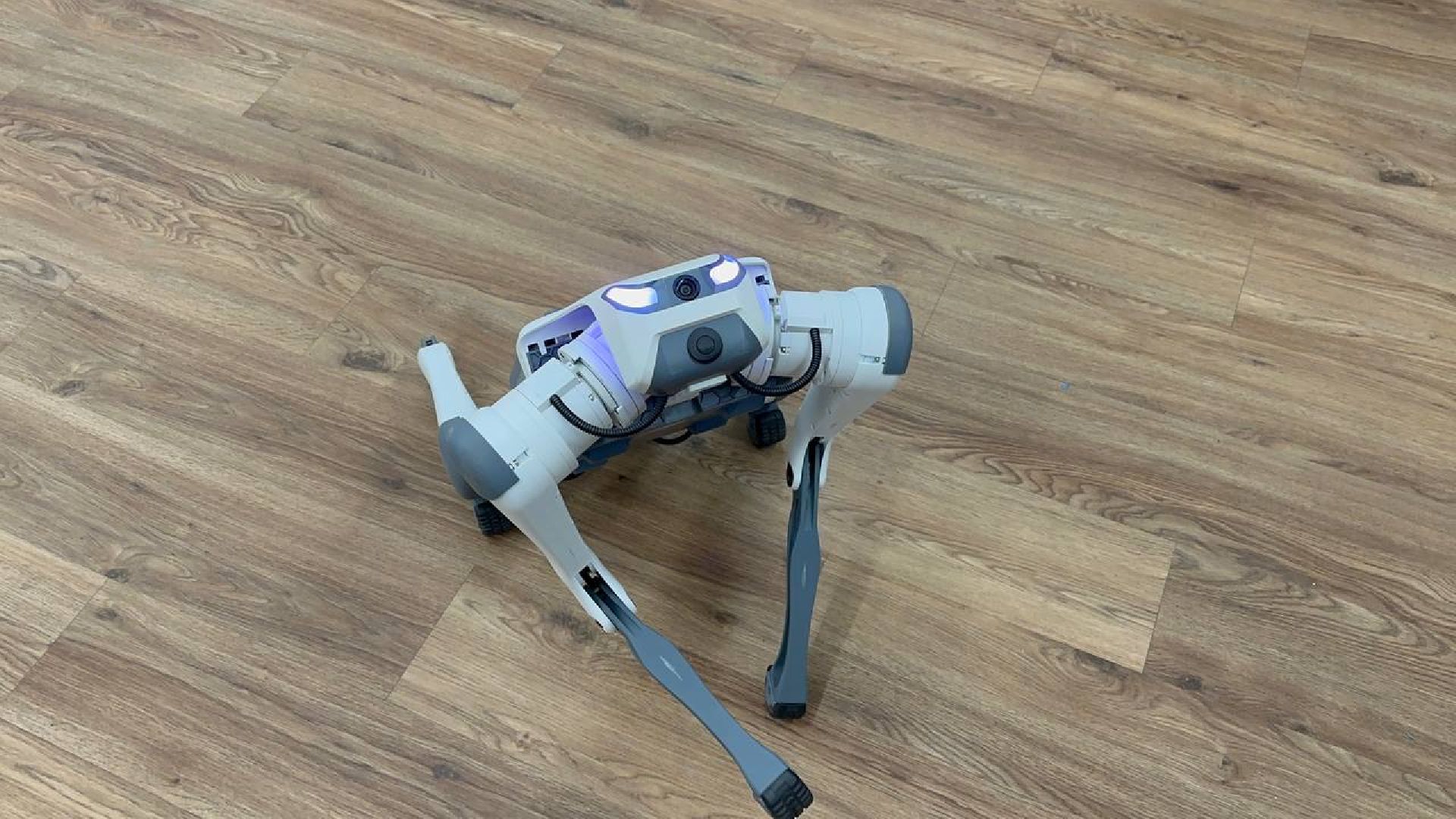 образование, домодедедово, профориентация,