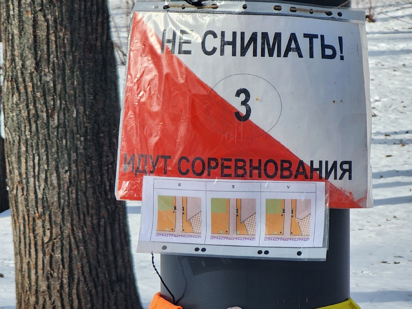 Коломна, спорт, спортивное ориентирование,