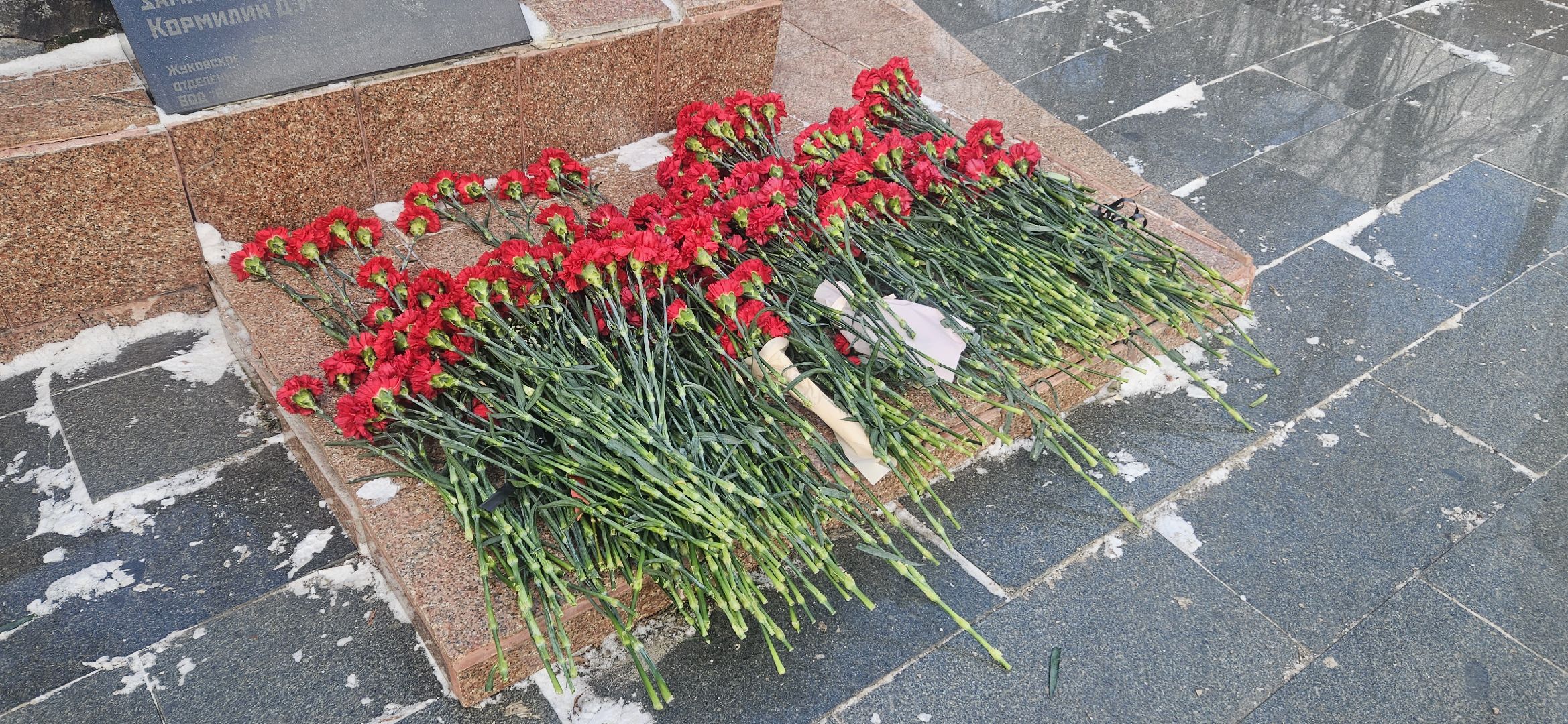 митинг, воины-интернационалисты, жуковский,