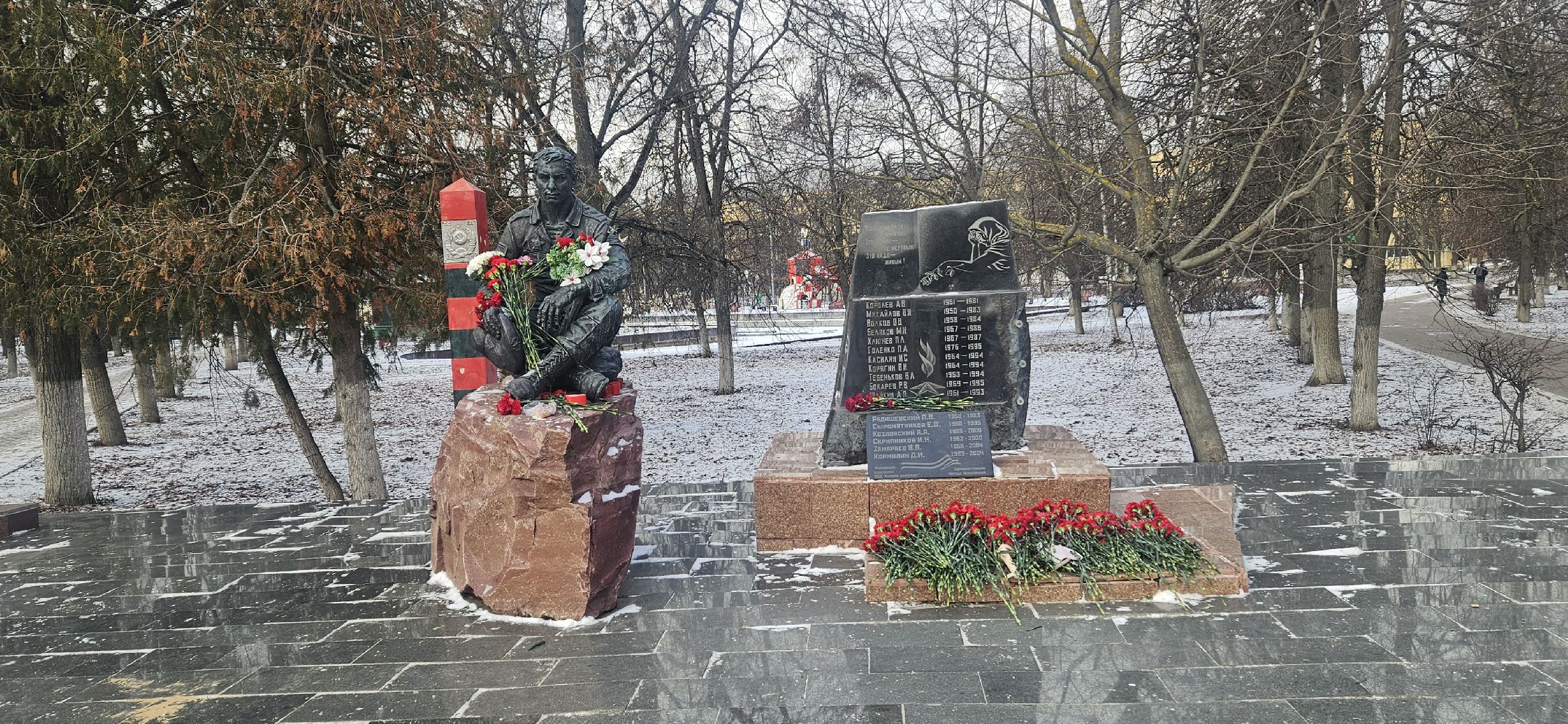 митинг, воины-интернационалисты, жуковский,