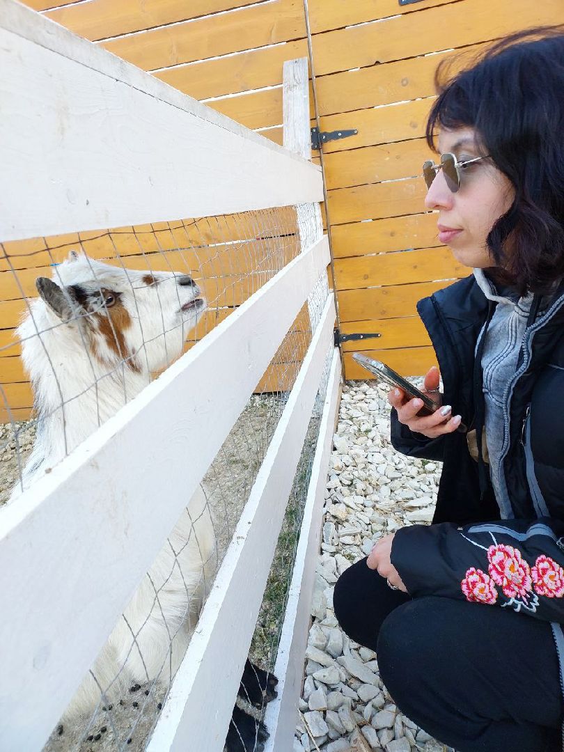 волонтеры Подмосковья, Подмосковье, Лосино-Петровский, Анапа, вертикалки,