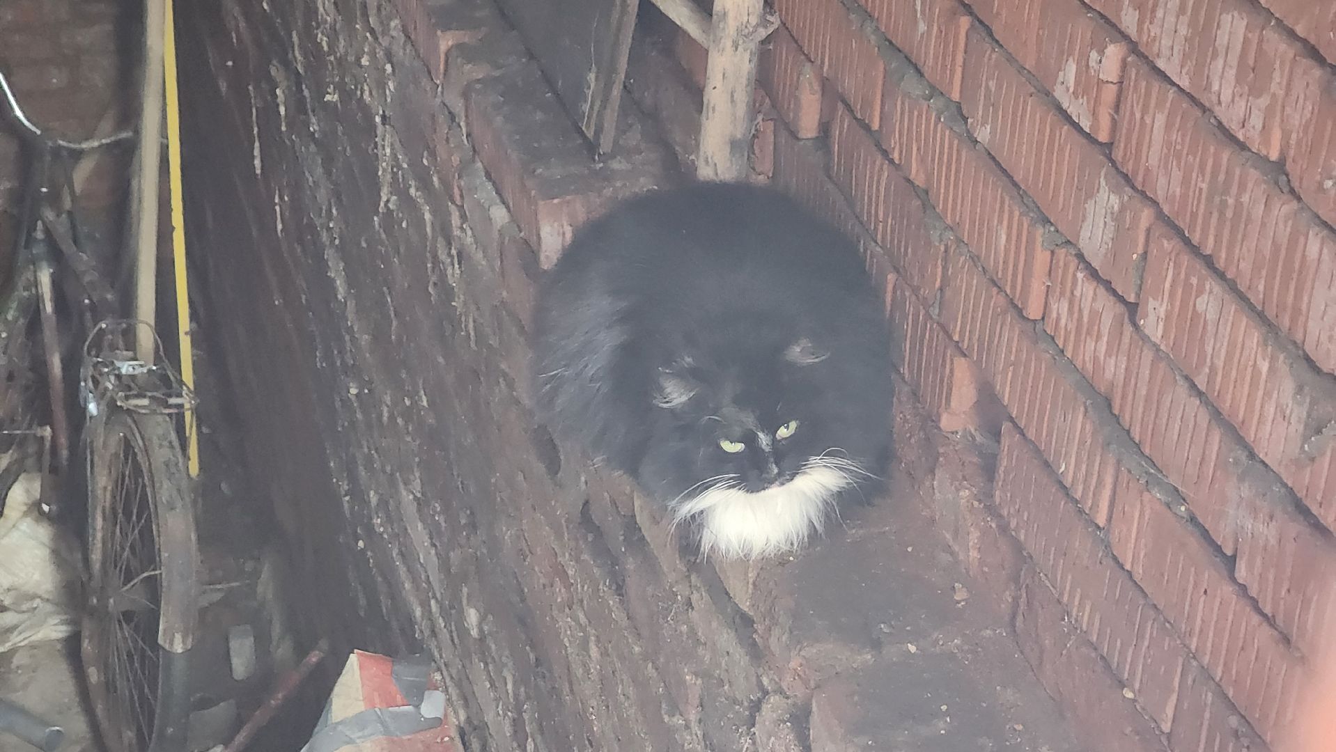 солнечногорск, жкх, улица советская, добродел,