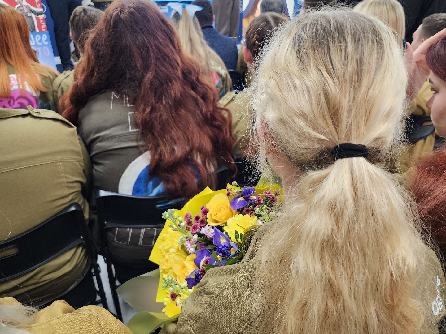 российские студенческие отряды, мытищи, вертикалки,