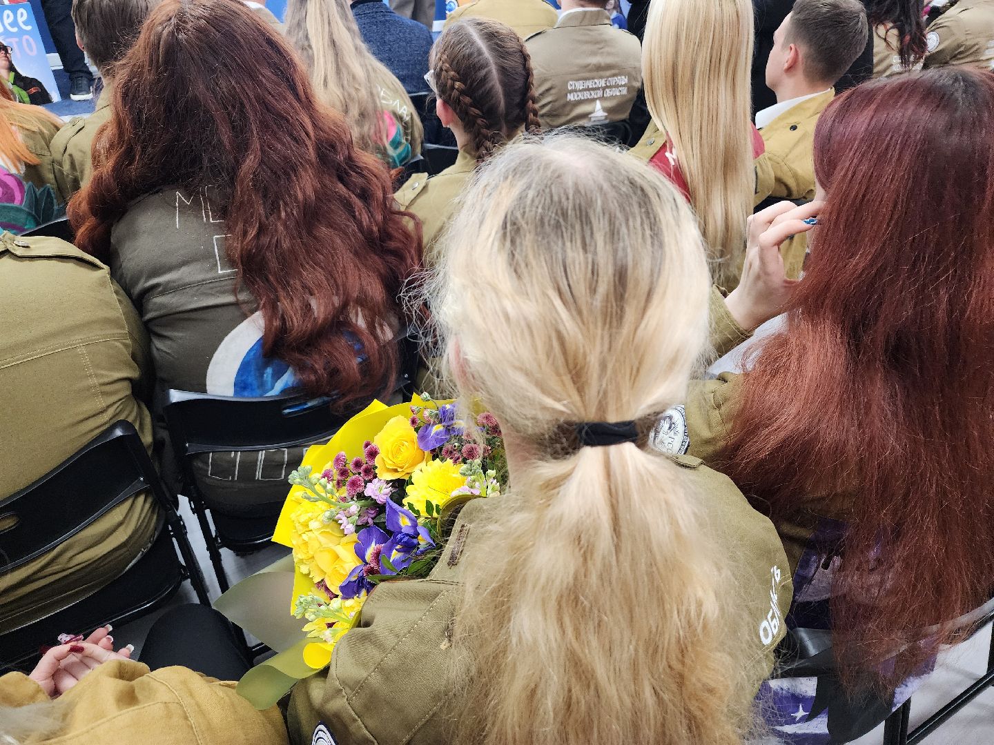 российские студенческие отряды, мытищи, вертикалки,