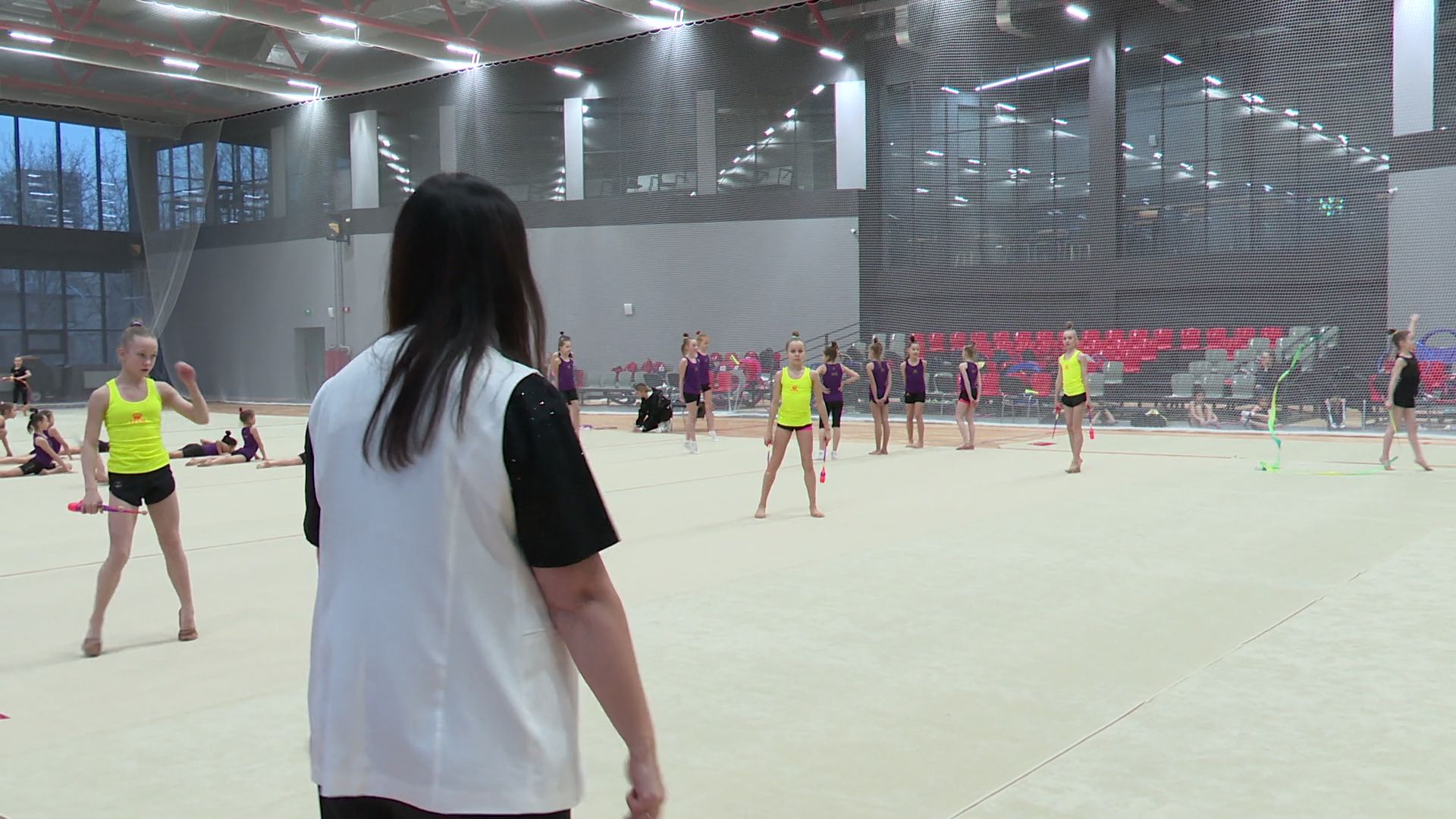 реутов, вертикалки, спорт, новый фок, художественная гимнастика,