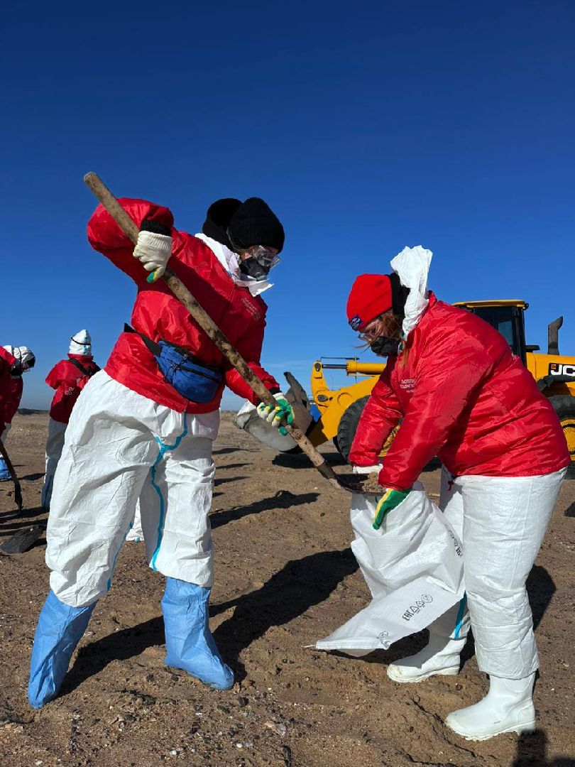 можайск, можайский муниципальный округ, подмосковье, волонтеры подмосковья, черноморское побережье, разлив мазута, анапа,