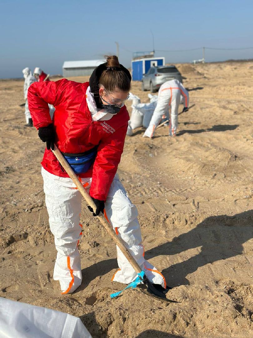 можайск, можайский муниципальный округ, подмосковье, волонтеры подмосковья, черноморское побережье, разлив мазута, анапа,