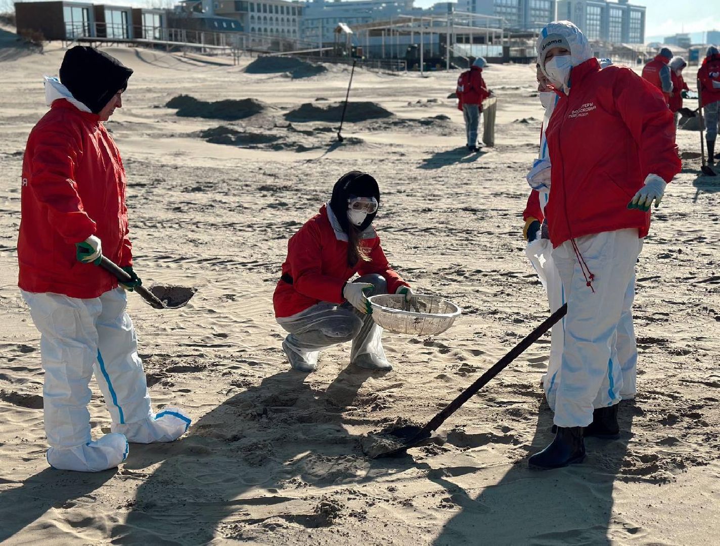 можайск, можайский муниципальный округ, подмосковье, волонтеры подмосковья, черноморское побережье, разлив мазута, анапа,