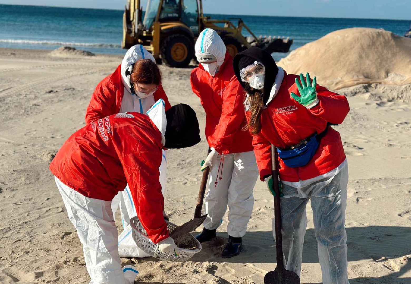 можайск, можайский муниципальный округ, подмосковье, волонтеры подмосковья, черноморское побережье, разлив мазута, анапа,